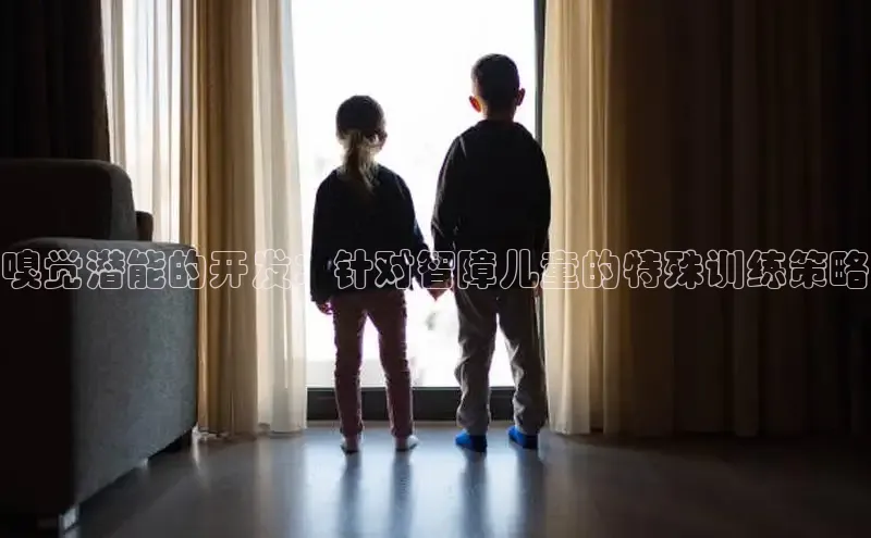 壹号平台下载